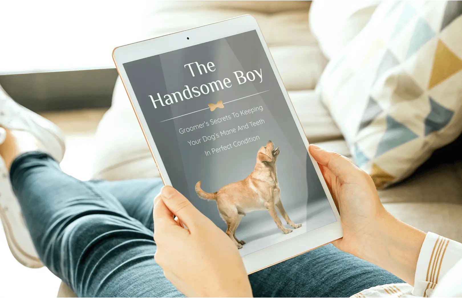 The Handsome Boy Groomer’s Secrets